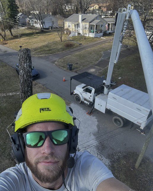 Crazy Irish Tree Service-49